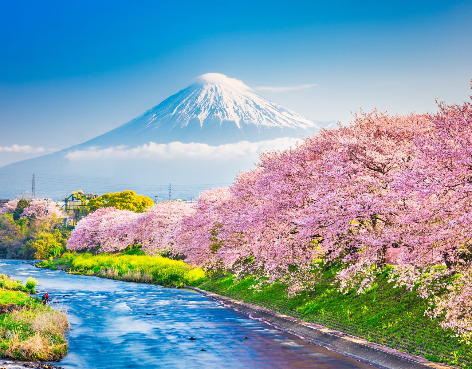 Race Across the World with Journey through Japan