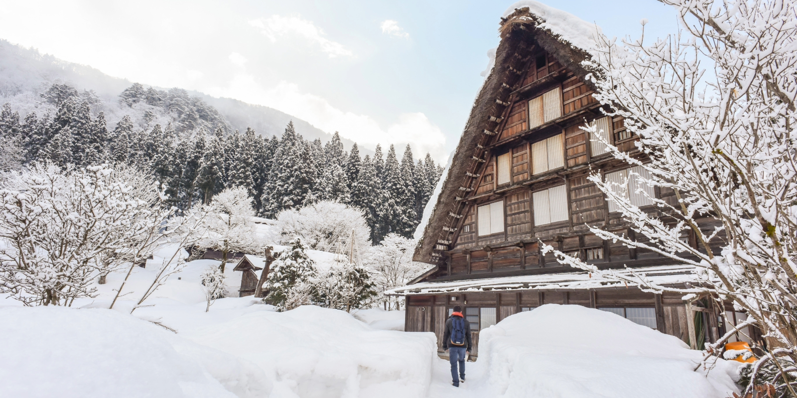 tourhub | Wendy Wu | Christmas in Japan 