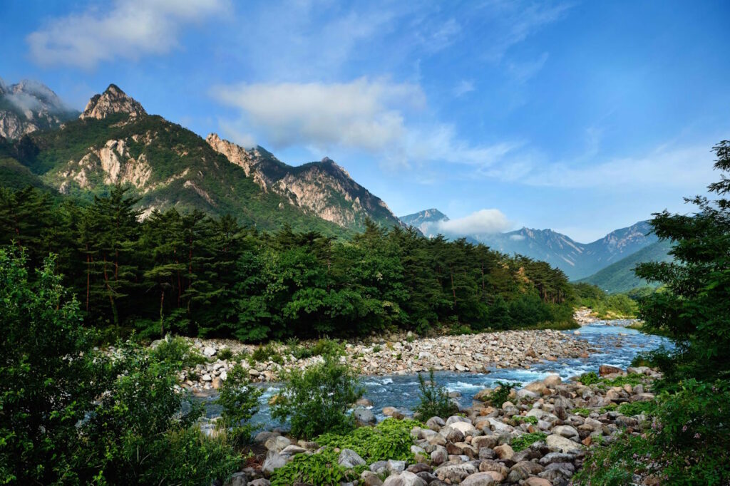 View of a river with pebble banks runs through a scene of pine forests and mountains in Seoraksan National Park