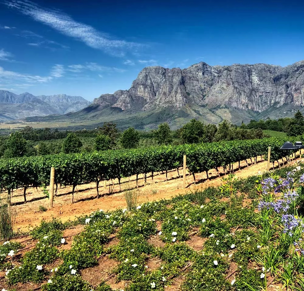 On which tour in our Cruise & Tour range can you enjoy days exploring the Winelands?