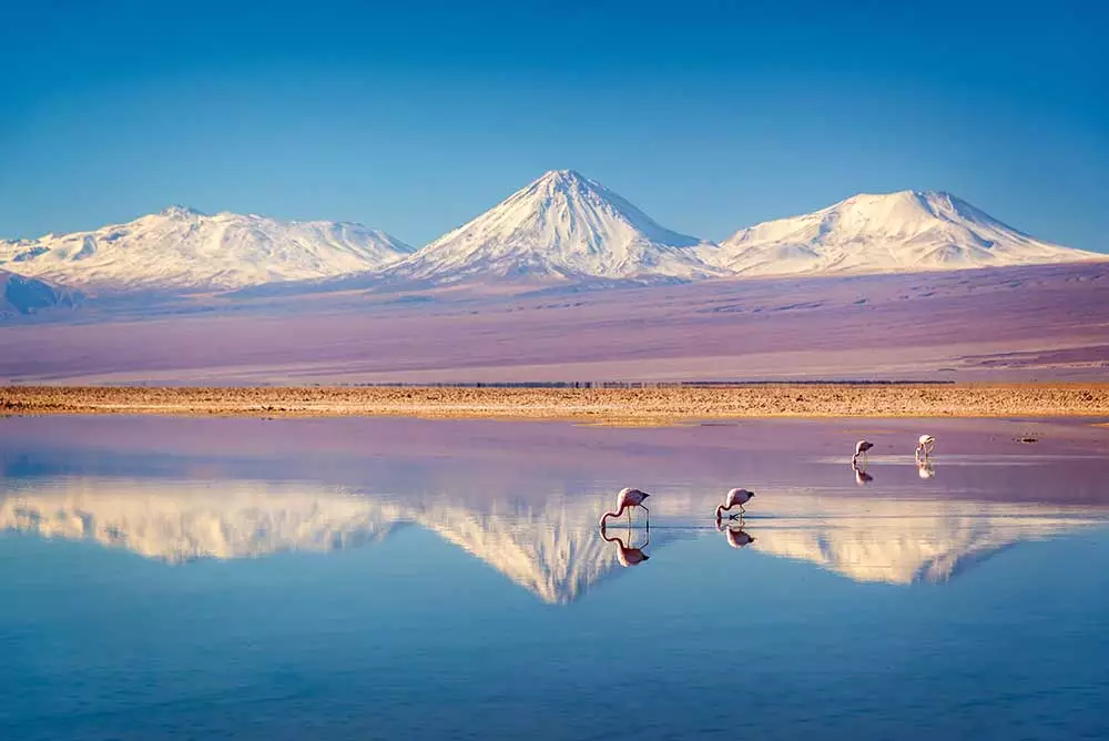 In what country will you find the Atacama desert, the Death & Moon Valley & Patagonia?