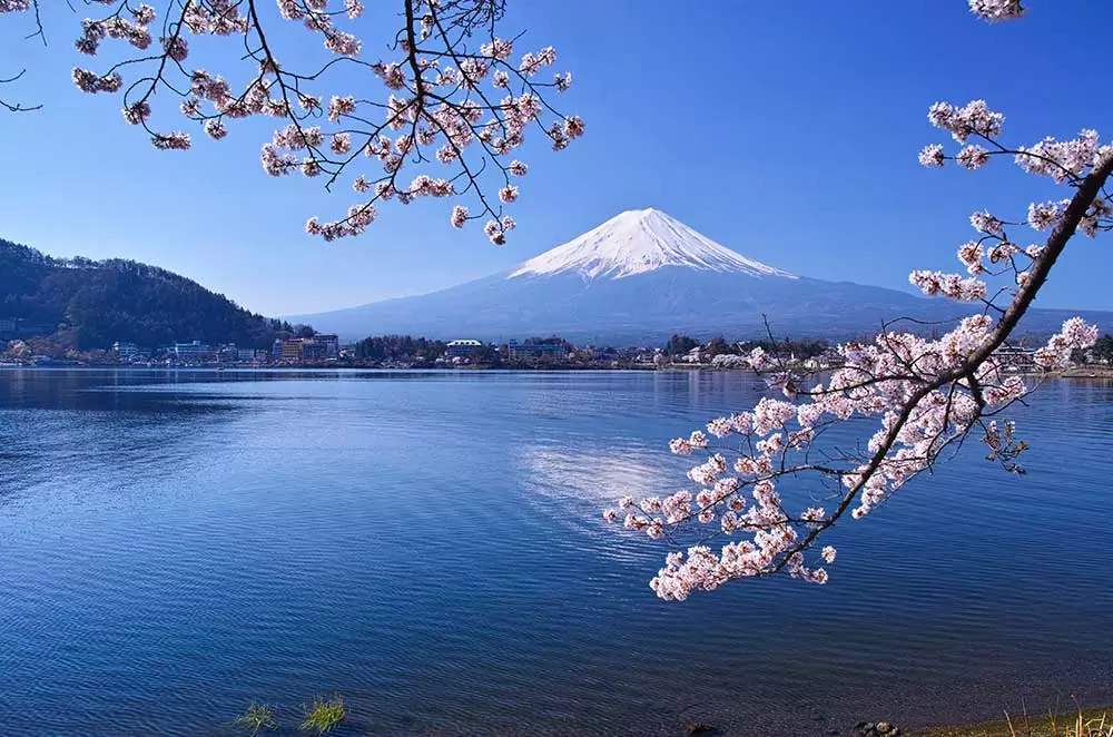 Which island in Japan can you find Mount Fuji?