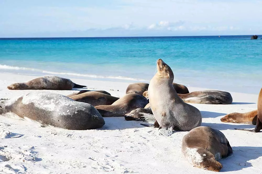 Which country is known as the gateway to the Galapagos?