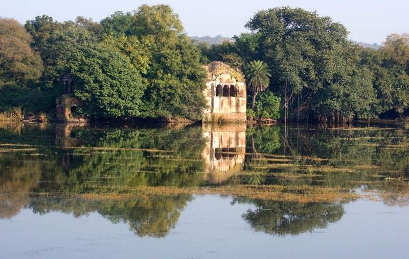 What is Ranthambore National Park famous for?