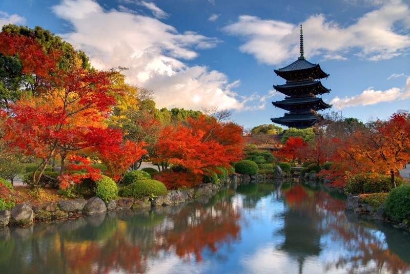 Which city is known as the birthplace of Japanese culture?