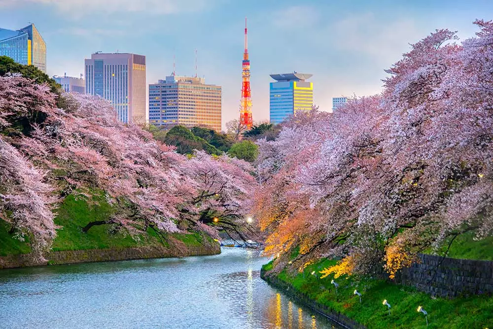 Which bustling city can you find the beautiful Ueno Park in?