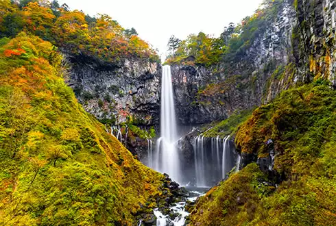 Nikko & Kamakura Extension
