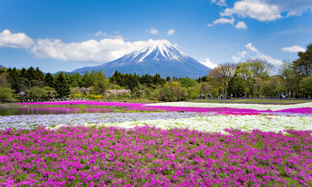 Why May is a great month to visit Japan