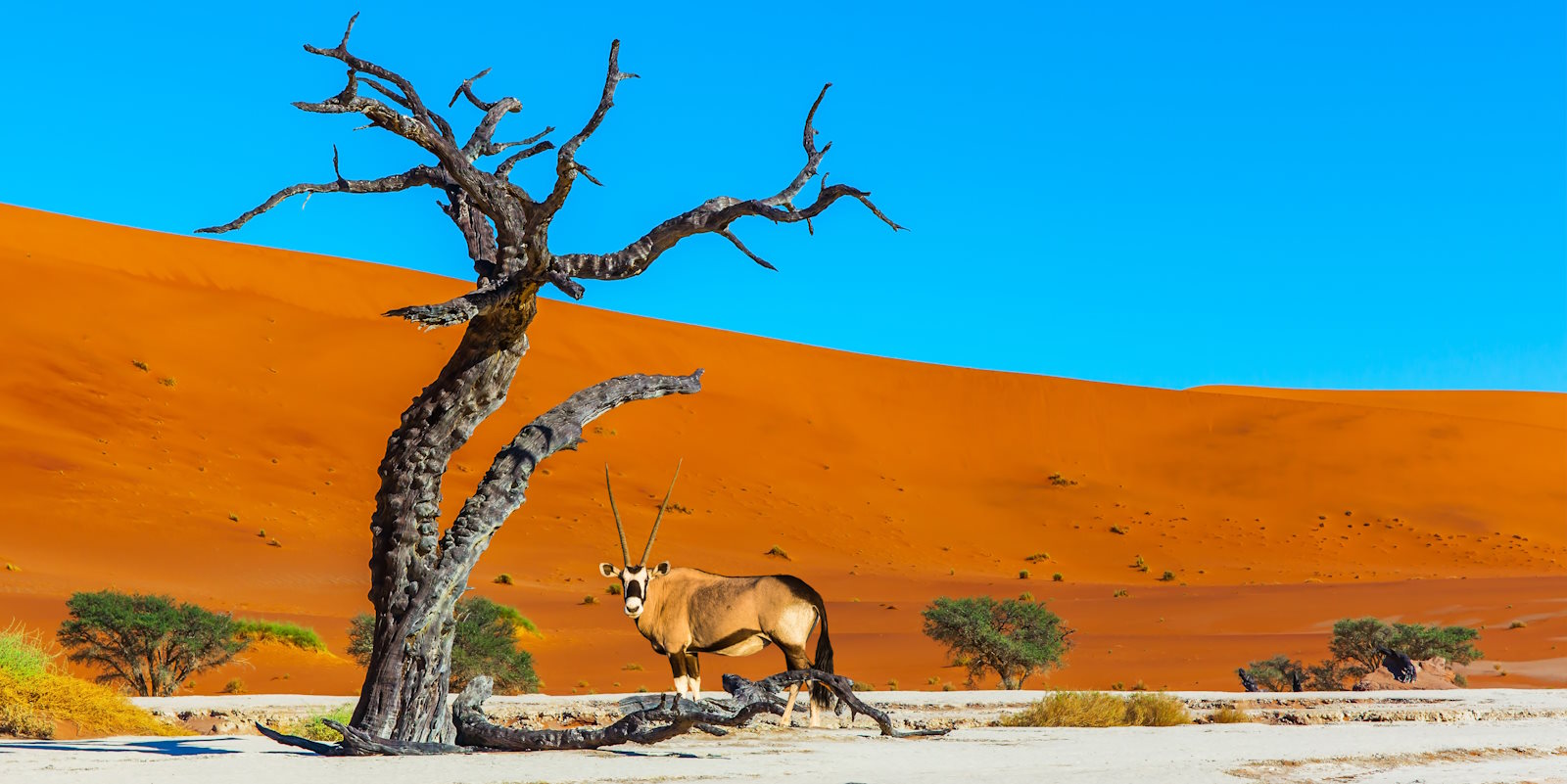 Namibia Holidays