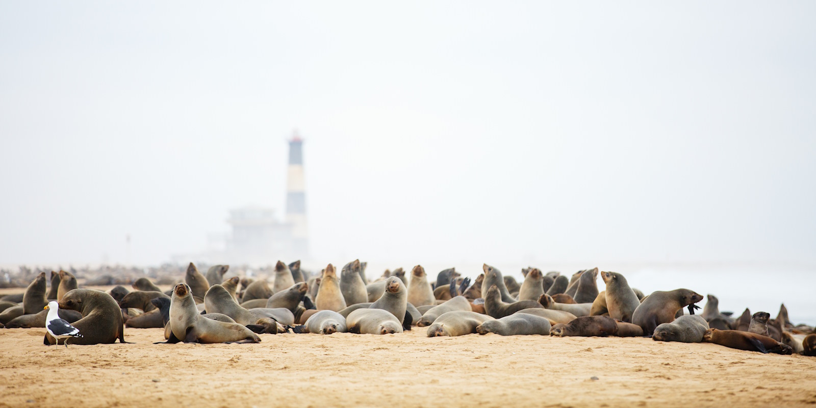 Walvis Bay Holidays