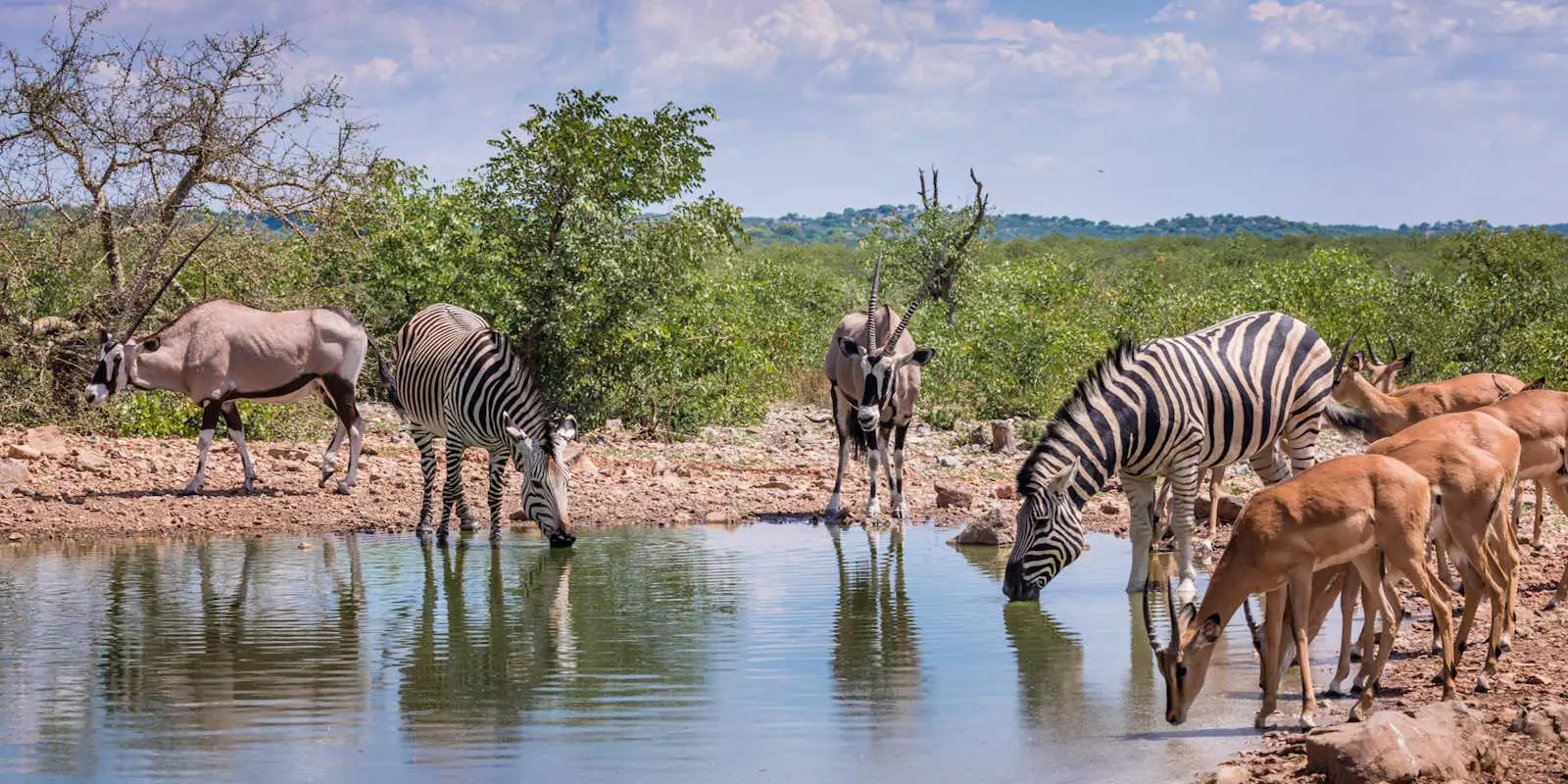 Etosha National Park Holidays