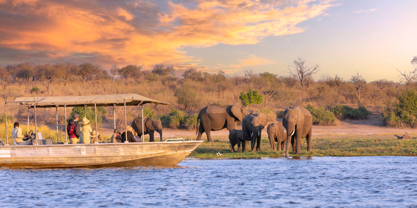 Chobe River Cruise