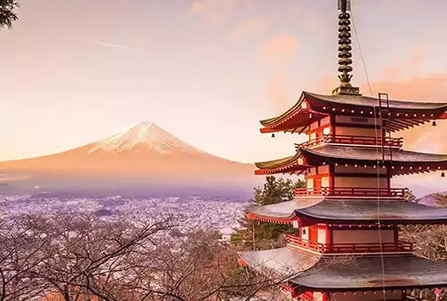 Tokyo Mt Fuji & Bullet Train