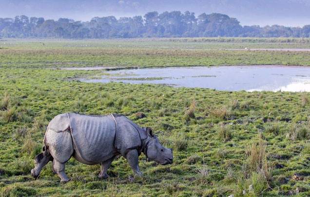 Himalayan Kingdoms | Wendy Wu Tours UK